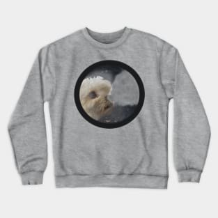 Jurassic Dog Crewneck Sweatshirt